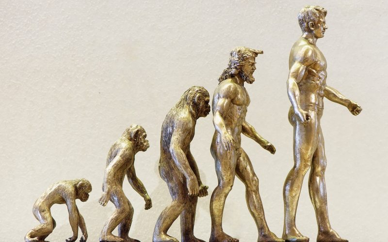 Bebê Reborn – ampliando a discussão