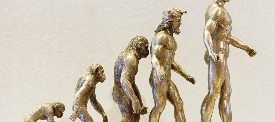 Bebê Reborn – ampliando a discussão